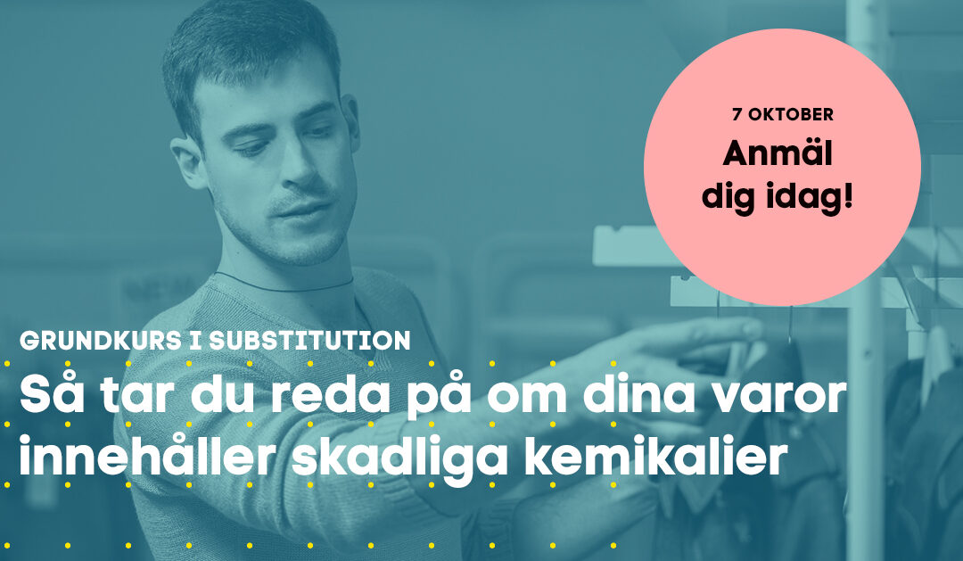 Vilka skadliga kemikalier innehåller dina varor?